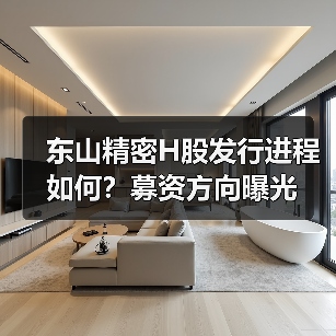 东山精密H股发行进程如何?募资方向曝光(图4) 东山精密H股发行进程如何?募资方向曝光(图4)