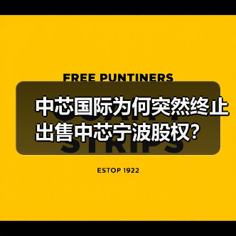 中芯国际为何突然终止出售中芯宁波股权? 中芯国际为何突然终止出售中芯宁波股权?