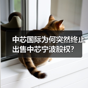 中芯国际为何突然终止出售中芯宁波股权?(图4) 中芯国际为何突然终止出售中芯宁波股权?(图4)