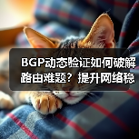 BGP动态验证如何破解路由难题?提升网络稳定性新方案(图4) BGP动态验证如何破解路由难题?提升网络稳定性新方案(图4)