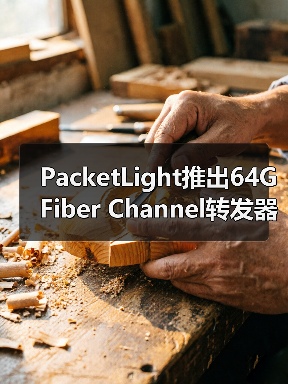PacketLight推出64G Fiber Channel转发器PL-2000FC(图4) PacketLight推出64G Fiber Channel转发器PL-2000FC(图4)