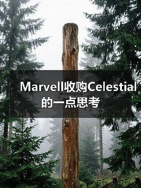 Marvell收购Celestial 的一点思考(图3) Marvell收购Celestial 的一点思考(图3)