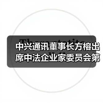 中兴通讯董事长方榕出席中法企业家委员会第七次会议（图2）