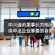 中兴通讯董事长方榕出席中法企业家委员会第七次会议（图4）