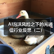 AI泡沫风险之下的光通信行业反思(二)(图2) AI泡沫风险之下的光通信行业反思(二)(图2)