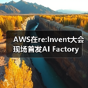 AWS在re:Invent大会现场首发AI Factory（图2）