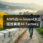 AWS在re:Invent大会现场首发AI Factory（图3）