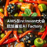 AWS在re:Invent大会现场首发AI Factory（图4）