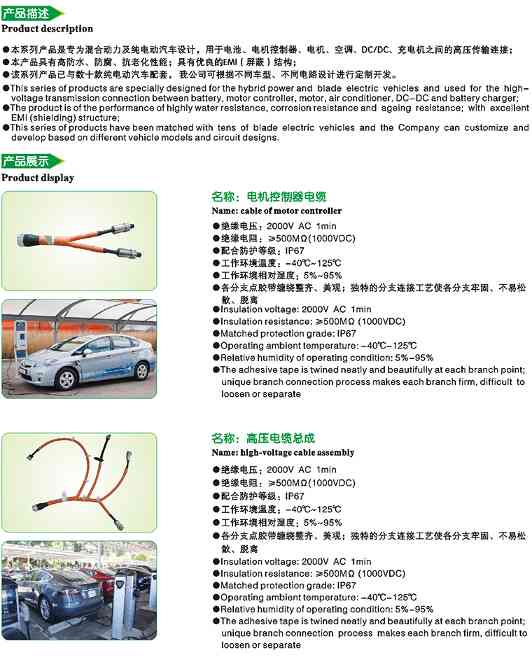 新能源高压线束(图1)