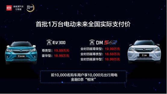 自主品牌，自主品牌,新能源汽车