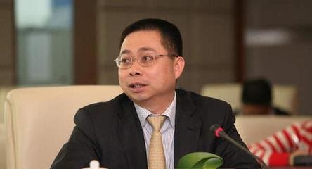 销量，胡润百富榜,汽车首富，许家印造车，马云身价