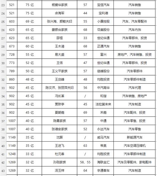 销量，胡润百富榜,汽车首富，许家印造车，马云身价